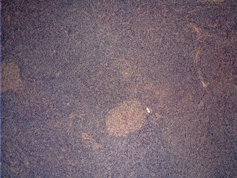 Path Image